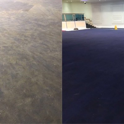 Before and After Carpet Cleaning 
