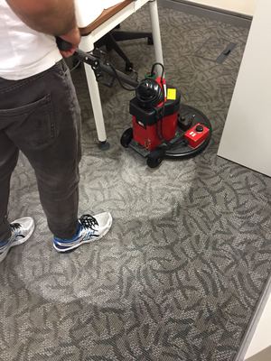 Carpet Cleaning 